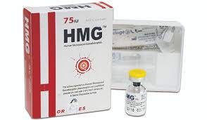 product name